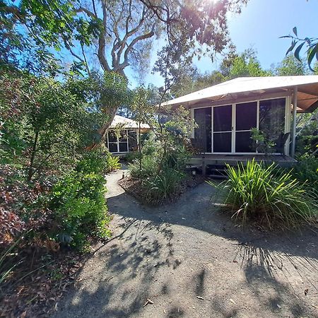 Castaways Moreton Island Bulwer Exterior foto